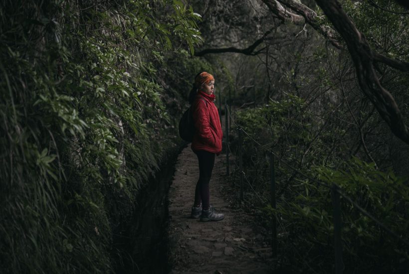 Woman exploring a lush forest path, embodying solitude and adventure in a serene landscape.